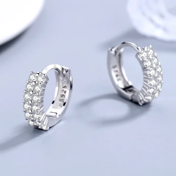 925 Sterling silver needle Earrings Fashion High Quality Jewelry Double Row Crystal Zircon Round Stud - Image 4