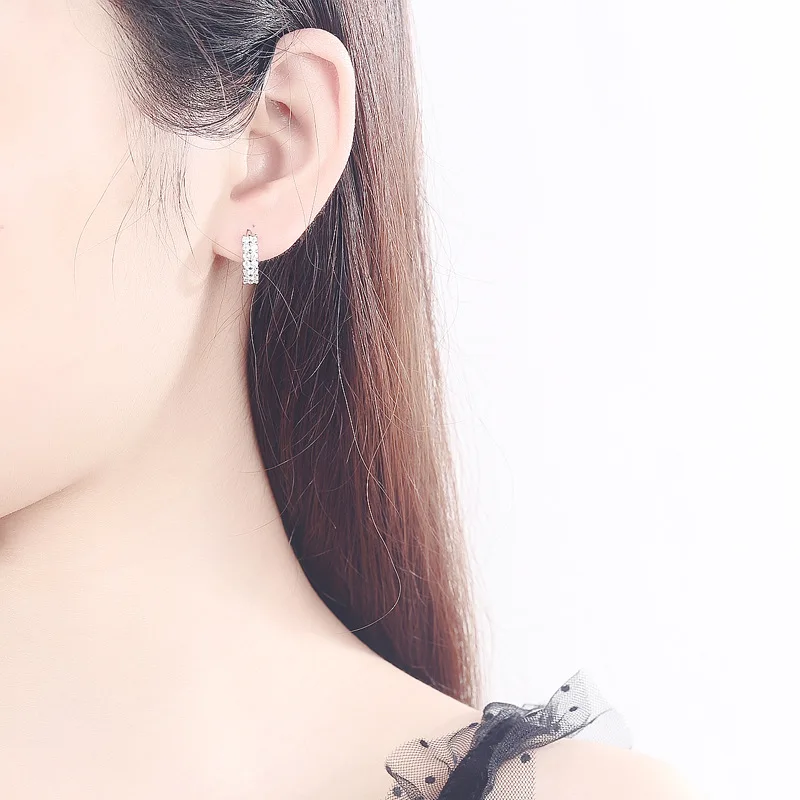 925 Sterling silver needle Earrings Fashion High Quality Jewelry Double Row Crystal Zircon Round Stud